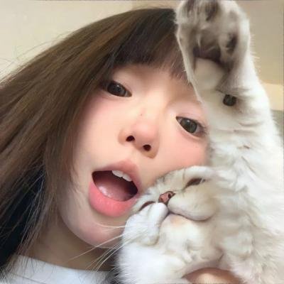 小象寻母